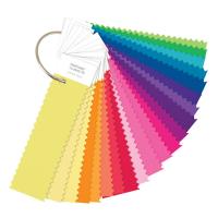 Цветовой справочник Pantone nylon brights set (серия Fashion and Home) - на ткани FFN100 |